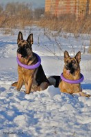 /album/fotogalljerjeja/a0-9158c-d58caeec-orig-jpg/