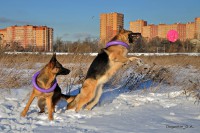 /album/fotogalljerjeja/a0-9158d-2389e6bf-orig-jpg/