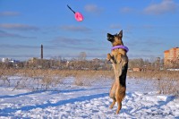 /album/fotogalljerjeja/a0-9158f-1061dfb1-orig-jpg/