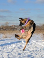 /album/fotogalljerjeja/dsc-0746mp-jpg/