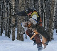 /album/fotogalljerjeja/a0-7ab5e-a99dc7b-xxxl-jpg/