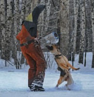 /album/fotogalljerjeja/a0-7ab64-573944b6-xxxl-jpg/