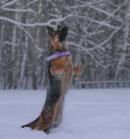 /album/fotogalljerjeja/a0-8ee5c-be1c9412-xxxl-jpg/