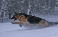 /album/fotogalljerjeja/a0-8ee5d-b2a00802-xxxl-jpg/