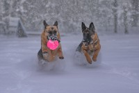 /album/fotogalljerjeja/a0-8ee50-31b49d6a-xxxl-jpg/