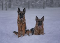 /album/fotogalljerjeja/a0-8ee54-52db0089-xxxl-jpg/