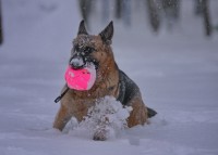 /album/fotogalljerjeja/a0-8ee56-bfeb06ed-xxxl-jpg/