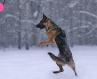 /album/fotogalljerjeja/a0-8ee57-30b14b2c-xxxl-jpg/