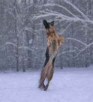 /album/fotogalljerjeja/a0-8ee58-9719ad18-xxxl-jpg/