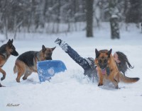 /album/fotogalljerjeja/a0-739e6-72932162-xxxl-jpg/