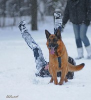 /album/fotogalljerjeja/a0-739e7-1ceeb9f3-xxxl-jpg/