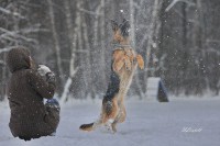 /album/fotogalljerjeja/a0-739ec-3d394b84-xxxl-jpg/