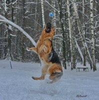 /album/fotogalljerjeja/a0-739ef-325a6261-xxxl-jpg/