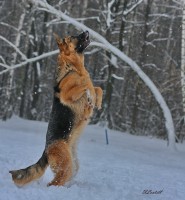 /album/fotogalljerjeja/a0-739f0-f728206c-xxxl-jpg/