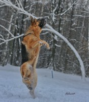 /album/fotogalljerjeja/a0-739f1-910a9455-xxxl-jpg/