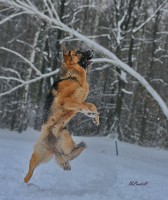 /album/fotogalljerjeja/a0-739f2-ae1e2e46-xxxl-jpg/