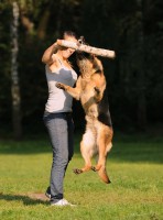 /album/ljeto-2012/a0-85543-62d64182-xxxl-jpg/