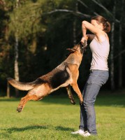 /album/ljeto-2012/a0-85546-1ba0a0c9-xxxl-jpg/