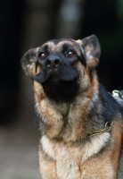 /album/ljeto-2012/a0-59b19-ffeb1cf0-xxxl-jpg/