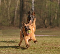 /album/ljeto-2012/a0-7f37a-833ceb04-xxxl-jpg/