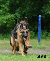 /album/ljeto-2012/a0-65ffc-eb2b189b-orig-jpg/