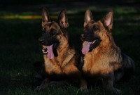 /album/ljeto-2012/a0-8439e-8895252d-xxxl-jpg1/