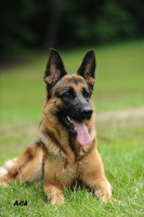 /album/ljeto-2012/a0-66007-26200ee-orig-jpg/