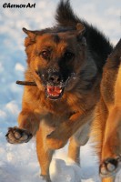 /album/fotogalljerjeja/img-9360p-jpg/