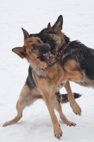 /album/fotogalljerjeja/img-0152p-jpg/