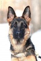 /album/fotogalljerjeja/a0-53a04-526a1069-xxl-jpg/