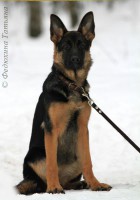 /album/fotogalljerjeja/a13f303bc8af6-jpg/