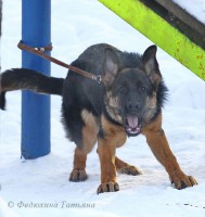 /album/fotogalljerjeja/a16962a6a013c-jpg/