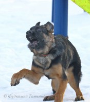 /album/fotogalljerjeja/a5742764f367e-jpg/