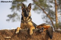 /album/fotogalljerjeja/img-0664p-jpg/