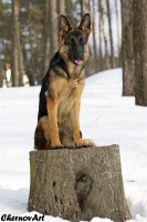 /album/fotogalljerjeja/img-0745p-jpg/