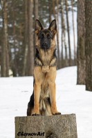 /album/fotogalljerjeja/img-0758p-jpg/