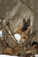 /album/fotogalljerjeja/img-0775p-jpg/