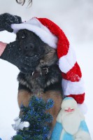 /album/fotogalljerjeja/img-7950p-jpg/