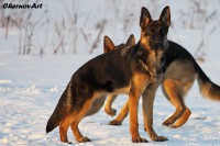 /album/fotogalljerjeja/img-9299p-jpg/