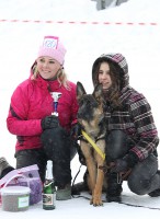 /album/ljutsifjera-na-vystavkakh/a12p-jpg/