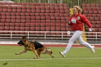 /album/ljutsifjera-na-vystavkakh/ac00f9097c3d702ca84a86c5450df979-jpg/