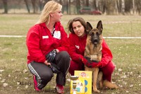 /album/ljutsifjera-na-vystavkakh/a743a822f1ca0946a47cd49b7095d67d9-jpg/