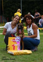 /album/ljutsifjera-na-vystavkakh/a432e1074ffe2-jpg/