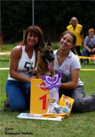 /album/ljutsifjera-na-vystavkakh/a835cc5bad986-jpg1/