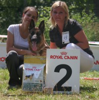 /album/ljutsifjera-na-vystavkakh/pgtu22fz-jpg1/