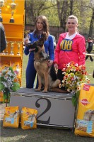 /album/ljutsifjera-na-vystavkakh/a1eecea7cb024-jpg/