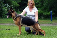 /album/ljutsifjera-na-vystavkakh/a0-65ffd-1fc6c538-orig-jpg1/