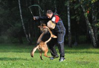 /album/ljeto-2012/w5qyehur-jpg/