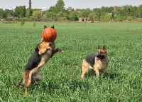 /album/ljeto-2012/dsc-0035-jpg/