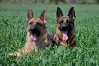 /album/ljeto-2012/dsc-0105-jpg/